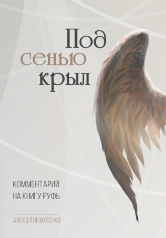 Обложка книги «Под сенью крыл. Комментарий на книгу Руфь»