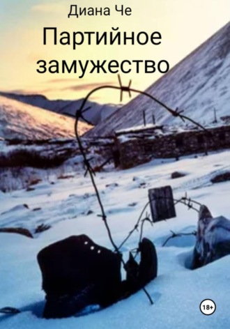 Обложка книги «Партийное замужество»