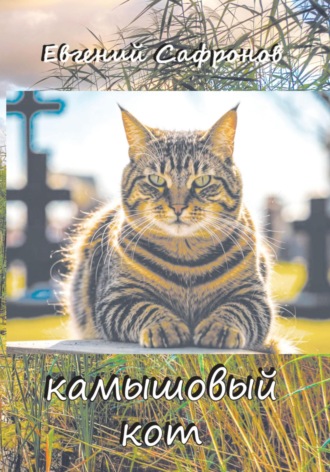 Обложка книги «Камышовый кот»