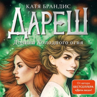 Обложка книги «Дареш. Долина Холодного огня»