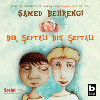 Обложка книги «Bir Şeftali Bin Şeftali»