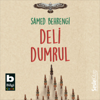 Обложка книги «Deli Dumrul»