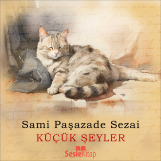 Обложка книги «Küçük Şeyler»