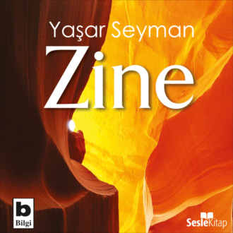 Обложка книги «Zine»