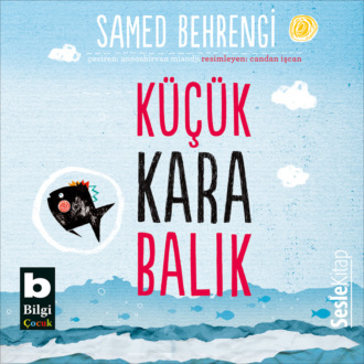 Обложка книги «Küçük Kara Balik»