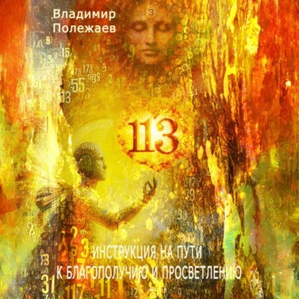Обложка книги «113 – Инструкция на пути к истинному благополучию и просветлению»