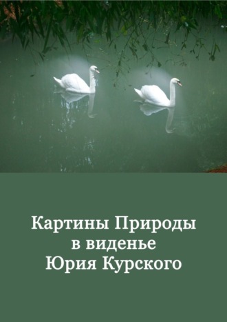 Обложка книги «Картины Природы в виденьи Юрия Курского. Том 1»