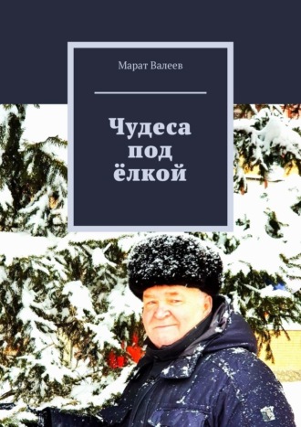 Обложка книги «Чудеса под ёлкой»