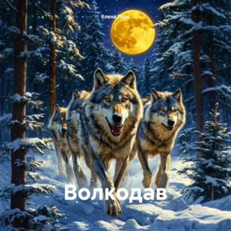 Обложка книги «Волкодав»
