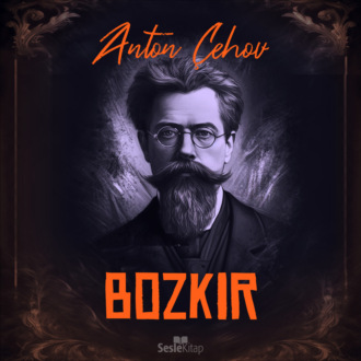Обложка книги «Bozkır»