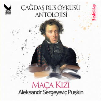 Обложка книги «Çağdaş Rus Öyküleri Antolojisi 12 – Maça Kızı»