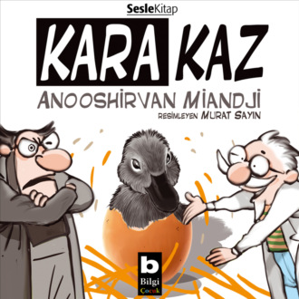 Обложка книги «Kara Kaz»