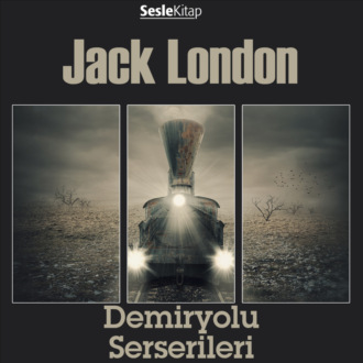 Обложка книги «Demiryolu Serserileri»