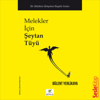 Обложка книги «Melekler İçin Şeytan Tüyü»
