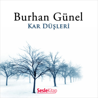 Обложка книги «Kar Düşleri»