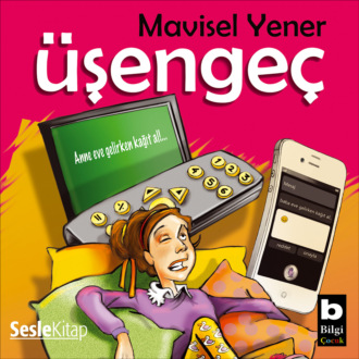 Обложка книги «Üşengeç»