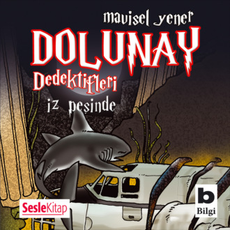 Обложка книги «Dolunay Dedektifleri 1 – İz peşinde»