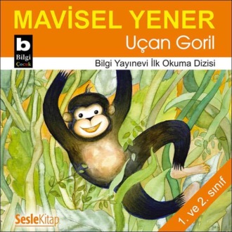 Обложка книги «Uçan Goril»