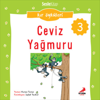 Обложка книги «Kır Öyküleri – Ceviz yağmuru»