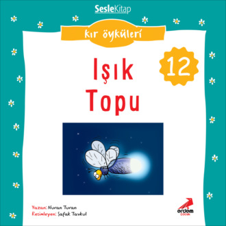Обложка книги «Kır Öyküleri – Işık topu»