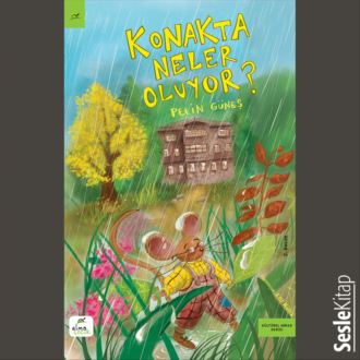 Обложка книги «Konakta Neler Oluyor?»