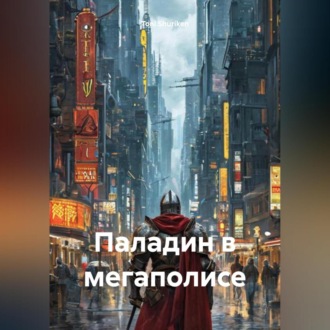 Обложка книги «Паладин в мегаполисе»