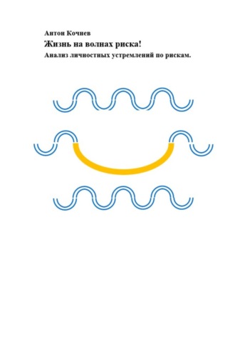 Обложка книги «Жизнь на волнах риска! Анализ личностных устремлений по рискам»