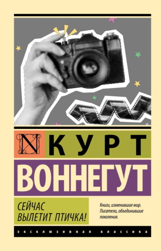 Обложка книги «Сейчас вылетит птичка!»