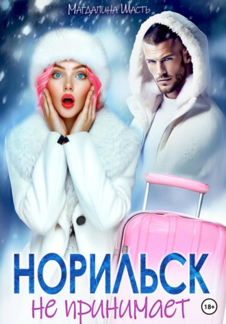 Обложка книги «Норильск не принимает»