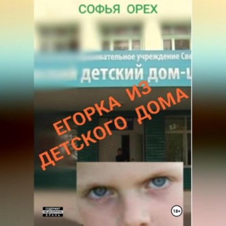 Обложка книги «Егорка из детского дома»