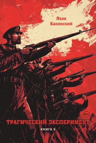 Обложка книги «Трагический эксперимент. Книга 5»