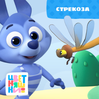 Обложка книги «Стрекоза»