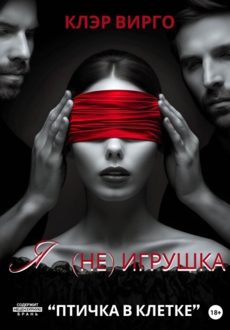 Обложка книги «Я (не) игрушка»