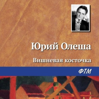 Обложка книги «Вишневая косточка»