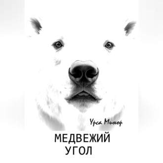Обложка книги «Медвежий угол»