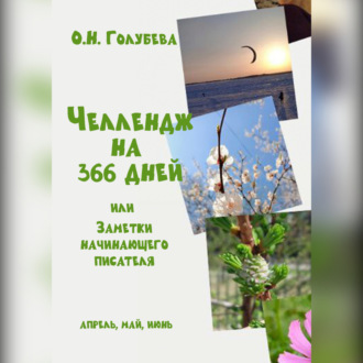 Обложка книги «ЧЕЛЛЕНДЖ НА 366 ДНЕЙ или Заметки начинающего писателя. Часть 2»