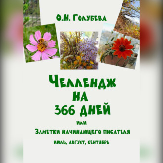 Обложка книги «ЧЕЛЛЕНДЖ НА 366 ДНЕЙ или Заметки начинающего писателя. Часть 3»