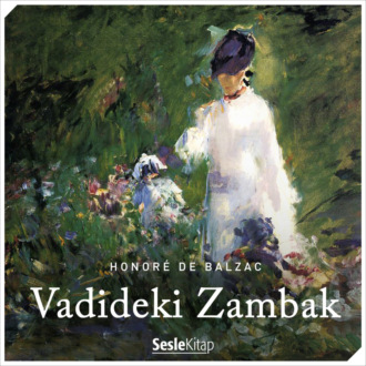 Обложка книги «Vadideki Zambak»