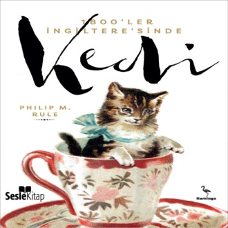 Обложка книги «1800'ler İngiltere'sinde Kedi»