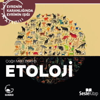 Обложка книги «EVRENİN KARANLIĞINDA EVRİMİN IŞIĞI BÖLÜM 8 / ANTROPOLOJİ - İnsanı Anlamak...»