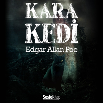 Обложка книги «Kara Kedi»