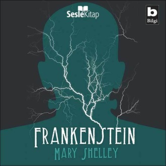 Обложка книги «Frankenstein ya da Modern Prometheus»