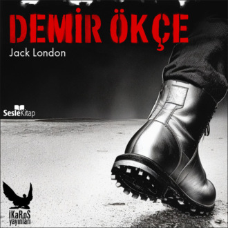 Обложка книги «Demir Ökçe»