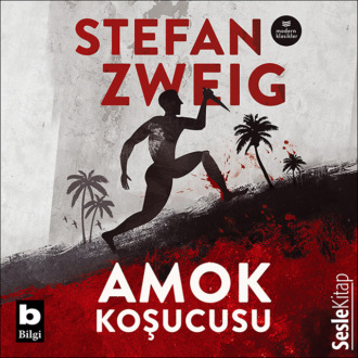 Обложка книги «Amok Koşucusu»