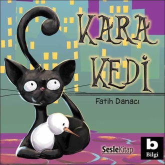 Обложка книги «Kara Kedi»