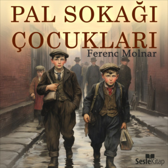Обложка книги «Pal Sokağı Çocukları»