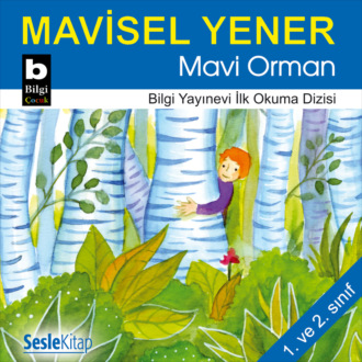 Обложка книги «Mavi Orman»