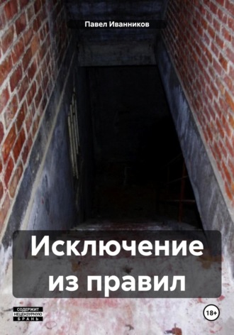Обложка книги «Исключение из правил»