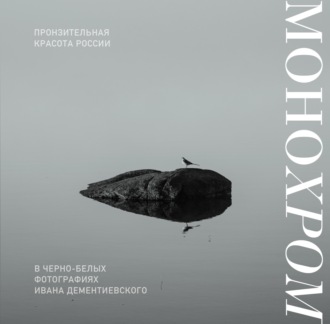 Обложка книги «Монохром. Пронзительная красота России в черно-белых фотографиях Ивана Дементиевского»