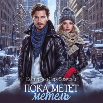 Обложка книги «Пока метёт метель»